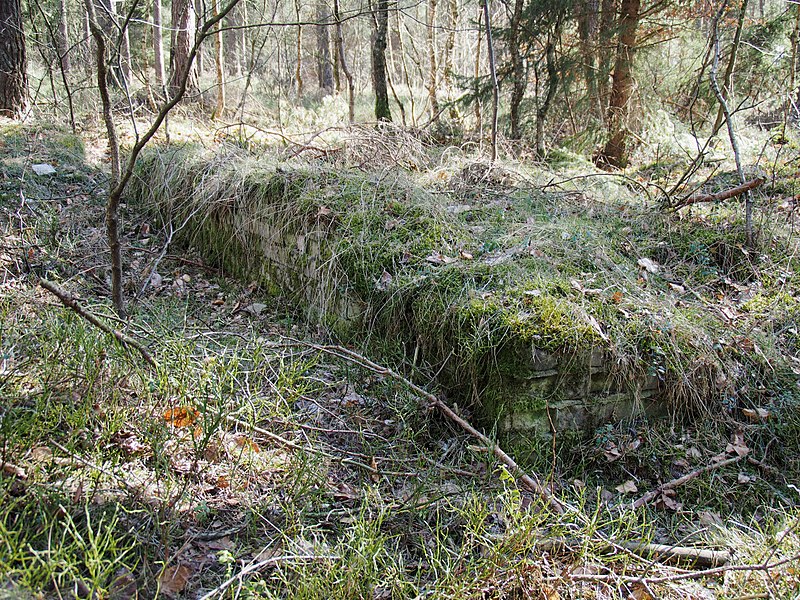 Remains of a barrack of the Unterlüß subcamp (Wikipedia/Hajotthu)